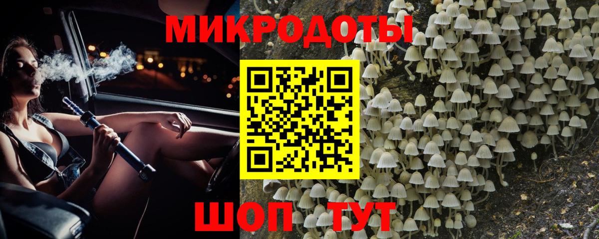 Вольск  Галлюциногенные грибы Psilocybine cubensis  Псилоцибиновые грибы Psilocybine cubensis  купить наркоту  Вход с VPN 