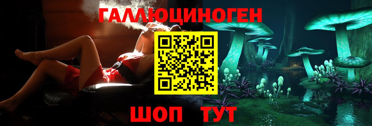 Галлюциногенные грибы Psilocybine cubensis Вольск